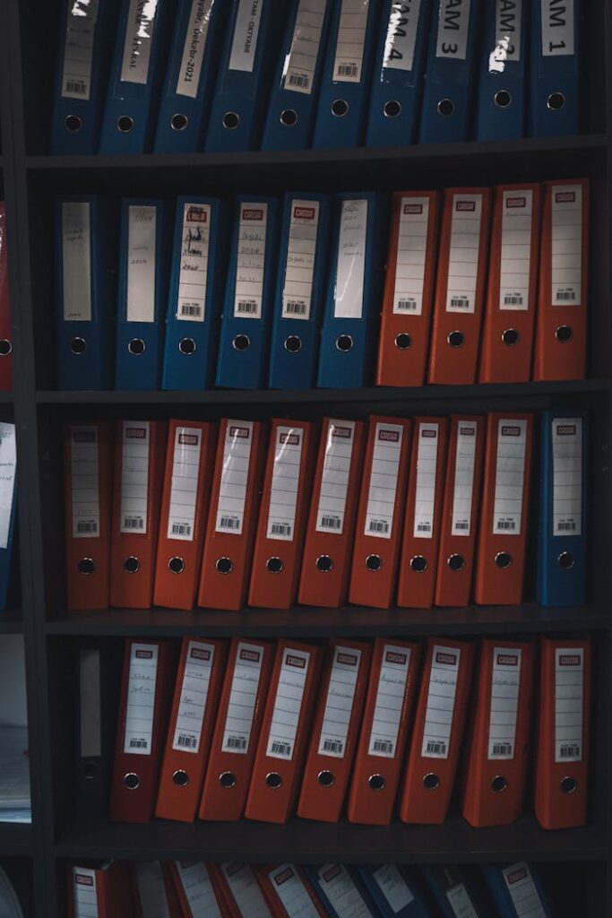 Rows of organized red and blue office files in a dimly lit shelf, showcasing document storage.